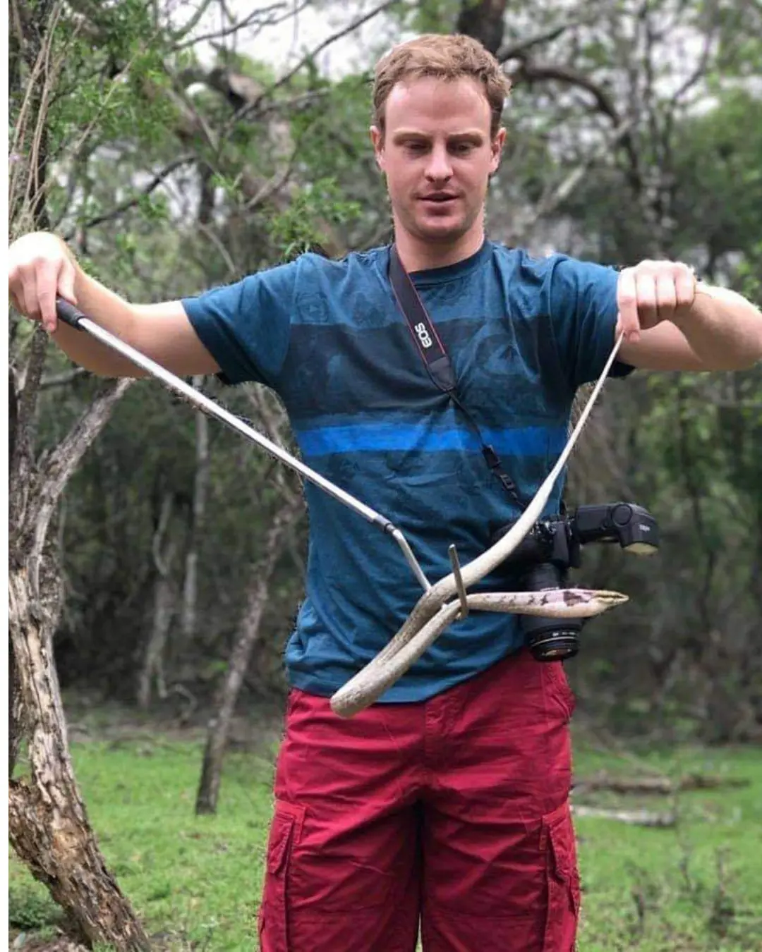  OptimizedImage,,,Optimized