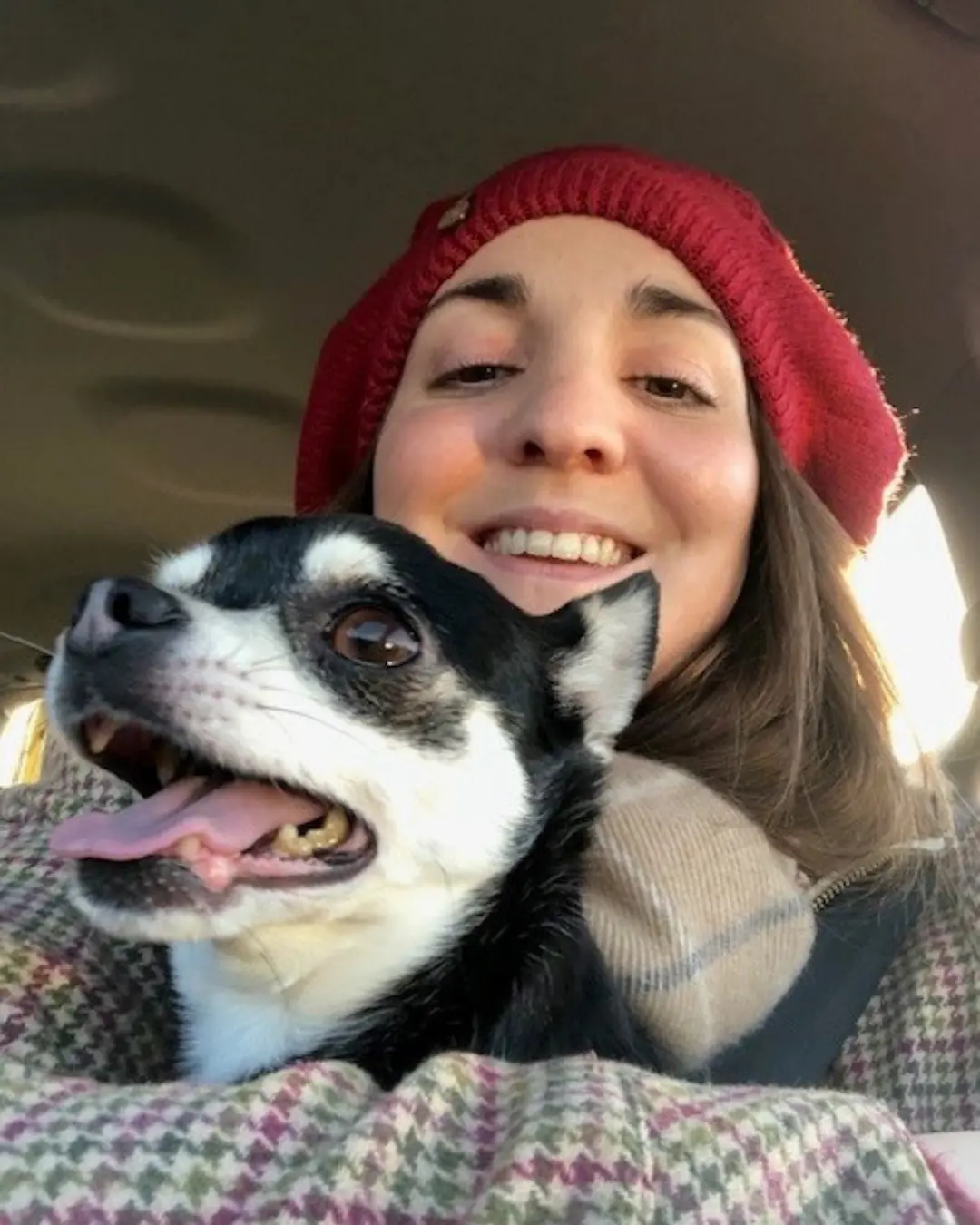  OptimizedImage,,,Optimized