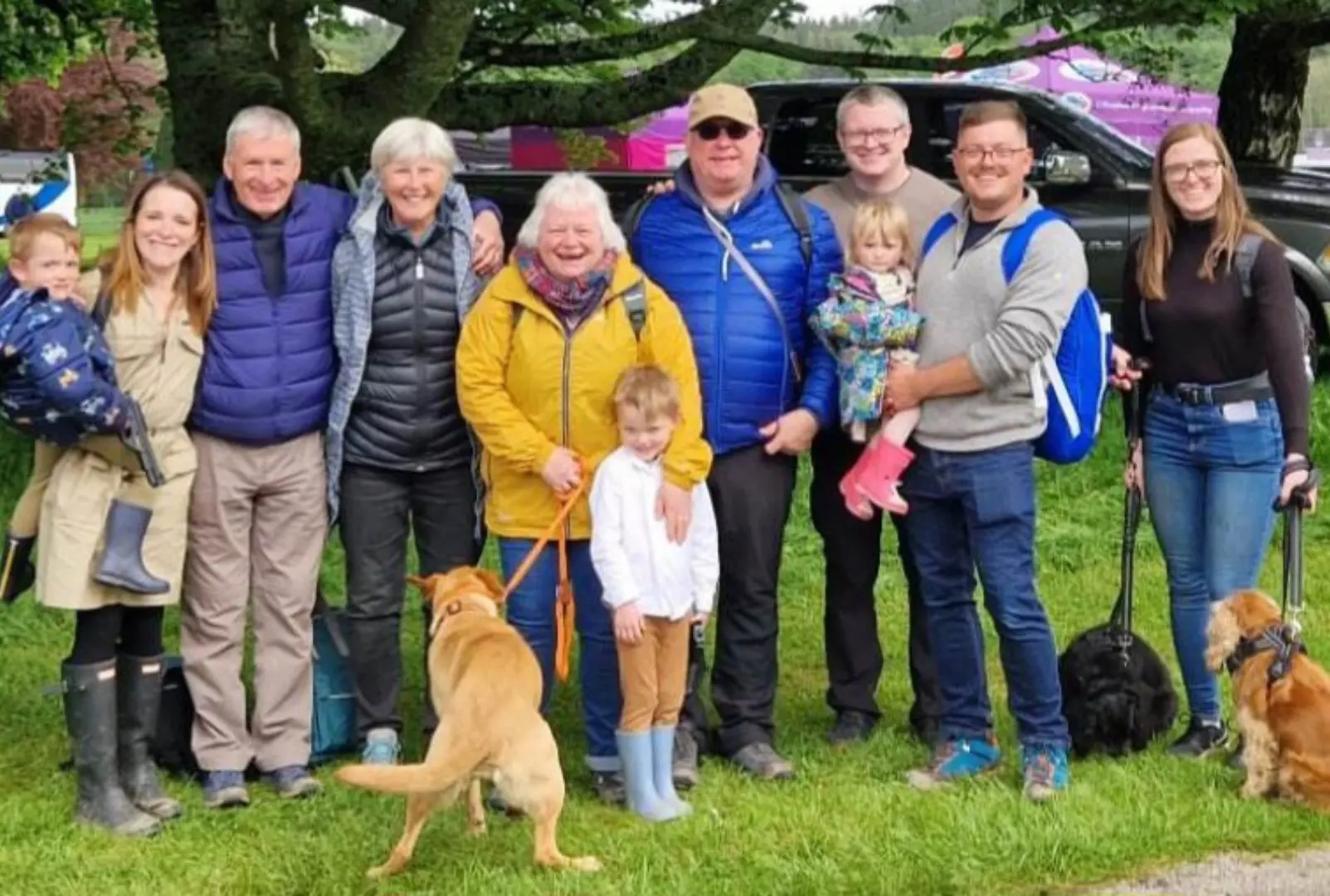 OptimizedImage,,,Optimized