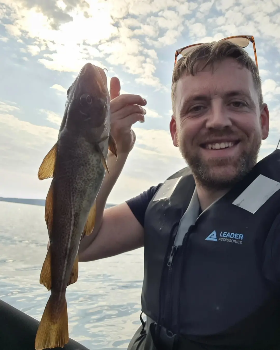  OptimizedImage,,,Optimized