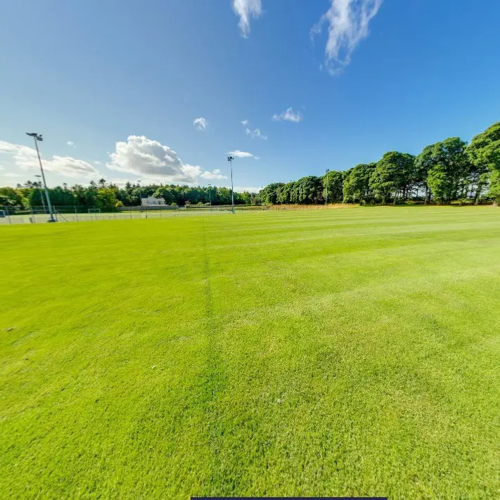  OptimizedImage,Optimized