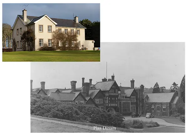  OptimizedImage,,,Optimized